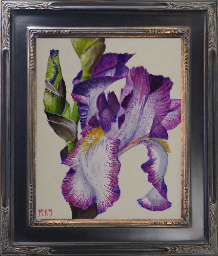 Click to view detail for Blooming Iris 10x8 $495